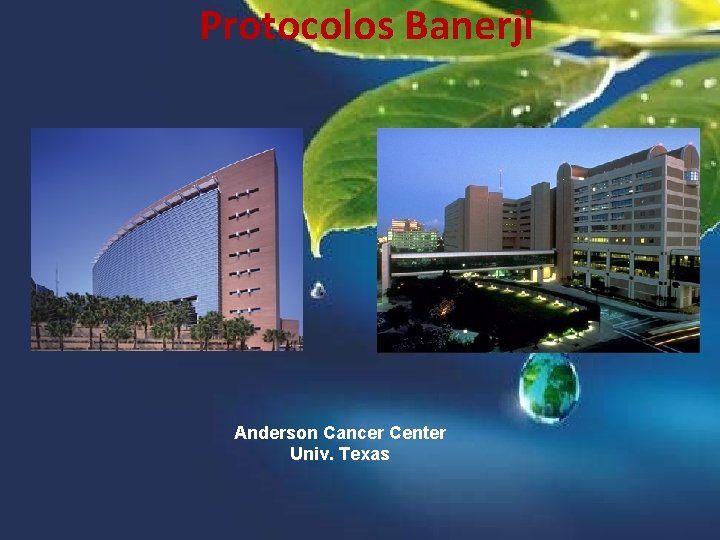 Protocolos Banerji Anderson Cancer Center Univ. Texas 