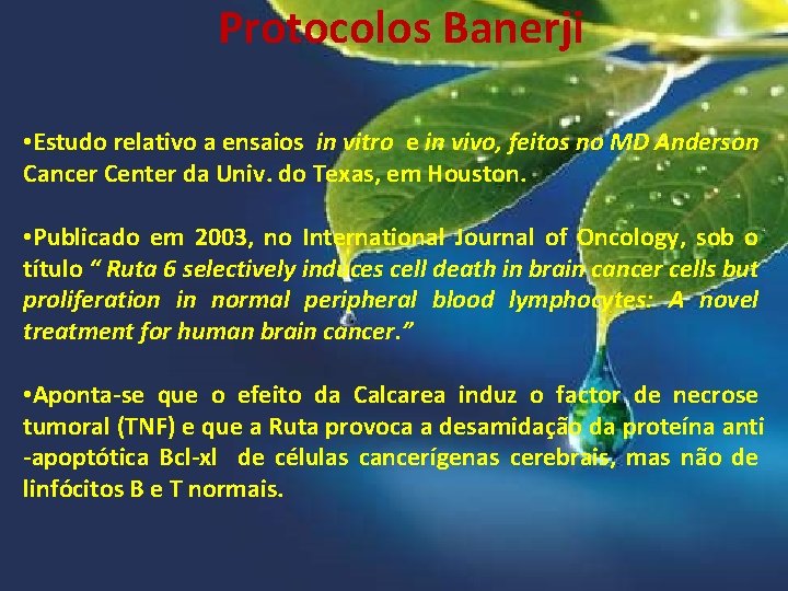 Protocolos Banerji • Estudo relativo a ensaios in vitro e in vivo, feitos no