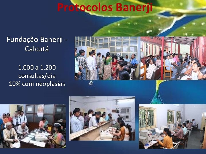 Protocolos Banerji Fundação Banerji Calcutá 1. 000 a 1. 200 consultas/dia 10% com neoplasias