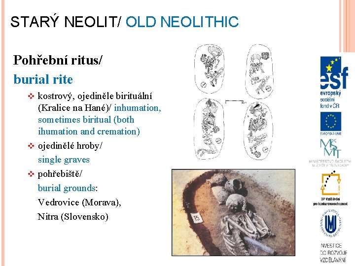 STARÝ NEOLIT/ OLD NEOLITHIC Pohřební ritus/ burial rite kostrový, ojediněle birituální (Kralice na Hané)/
