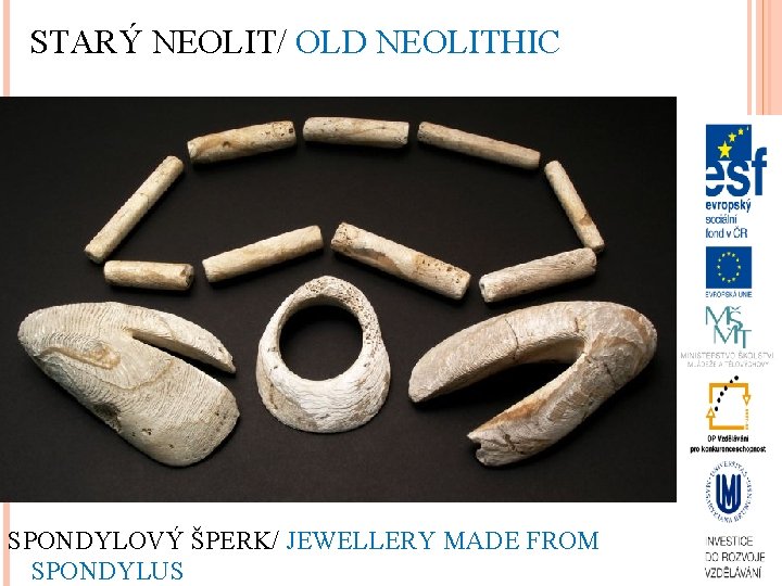 STARÝ NEOLIT/ OLD NEOLITHIC SPONDYLOVÝ ŠPERK/ JEWELLERY MADE FROM SPONDYLUS 