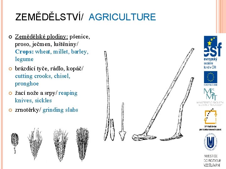ZEMĚDĚLSTVÍ/ AGRICULTURE Zemědělské plodiny: pšenice, proso, ječmen, luštěniny/ Crops: wheat, millet, barley, legume brázdící