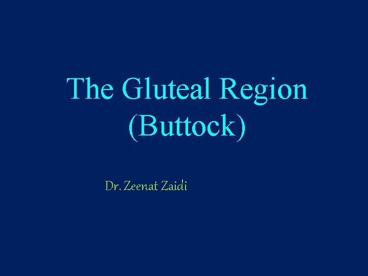 The Gluteal Region (Buttock) Dr. Zeenat Zaidi 