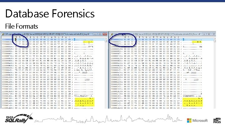 Database Forensics File Formats 