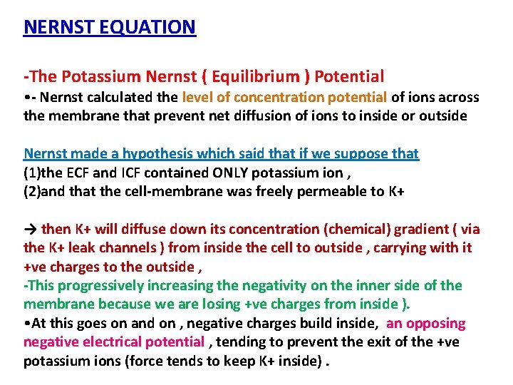 NERNST EQUATION -The Potassium Nernst ( Equilibrium ) Potential • - Nernst calculated the