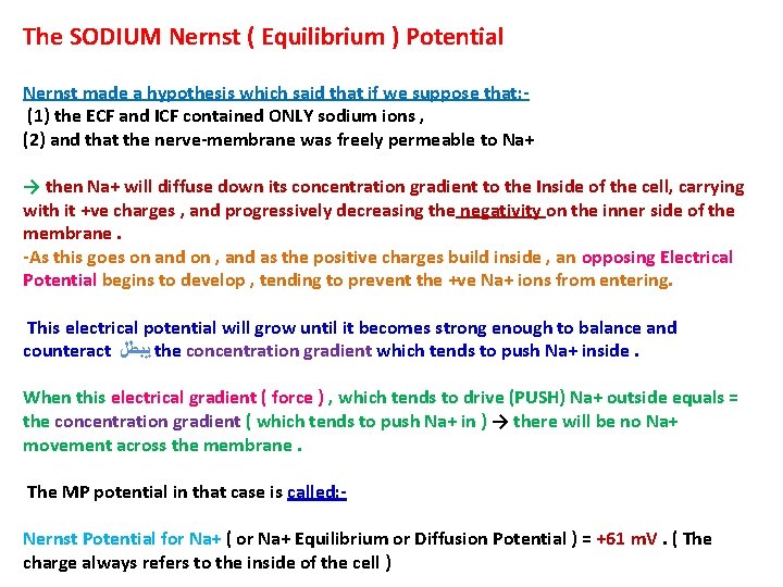 The SODIUM Nernst ( Equilibrium ) Potential Nernst made a hypothesis which said that