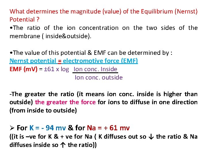 What determines the magnitude (value) of the Equilibrium (Nernst) Potential ? • The ratio