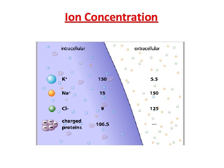 Ion Concentration 