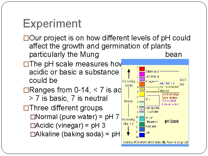 Experiment �Our project is on how different levels of p. H could affect the