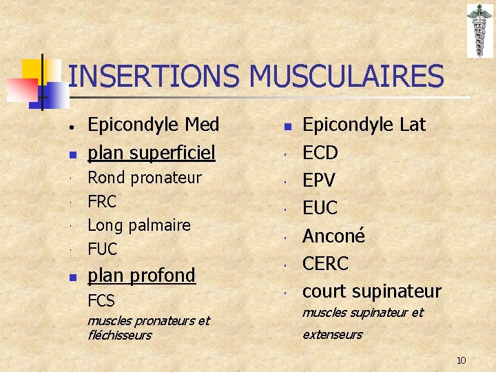 INSERTIONS MUSCULAIRES · n · · n Epicondyle Med plan superficiel Rond pronateur FRC