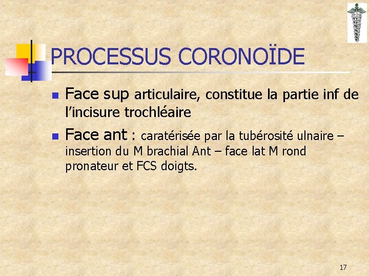 PROCESSUS CORONOÏDE n Face sup articulaire, constitue la partie inf de l’incisure trochléaire n