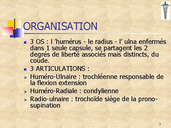 ORGANISATION n n Ø Ø Ø 3 OS : l ’humérus - le radius