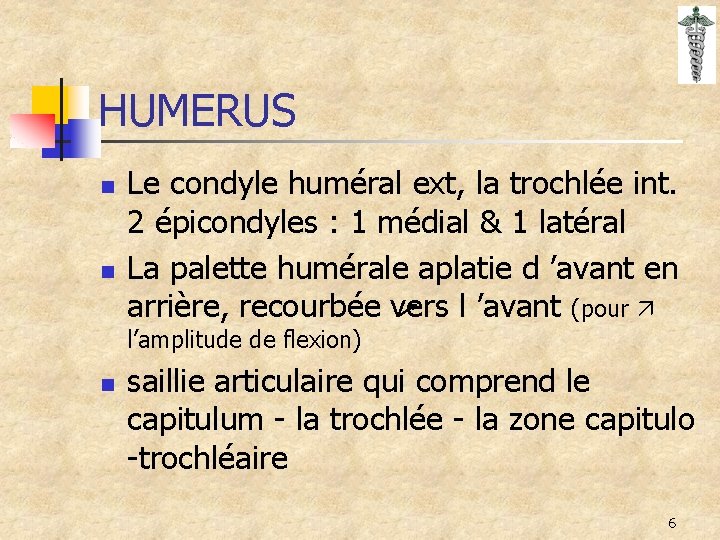 HUMERUS n n Le condyle huméral ext, la trochlée int. 2 épicondyles : 1