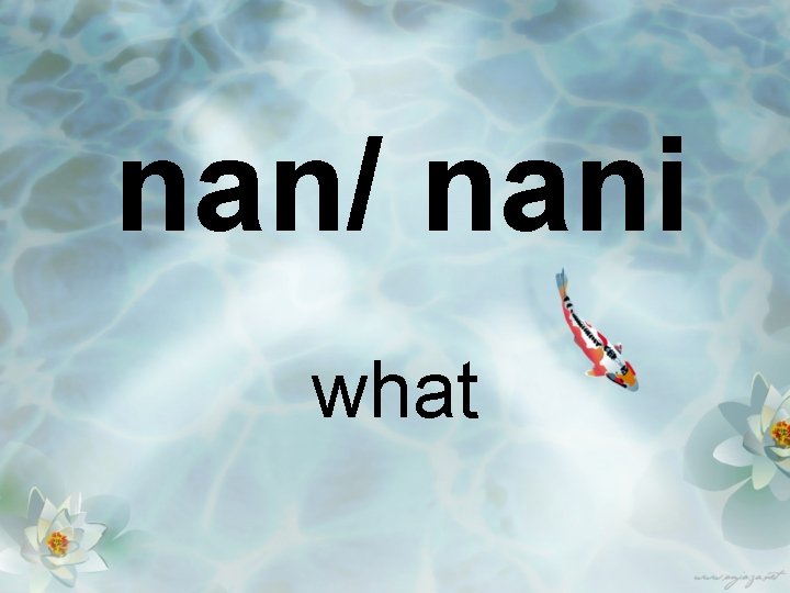 nan/ nani what 