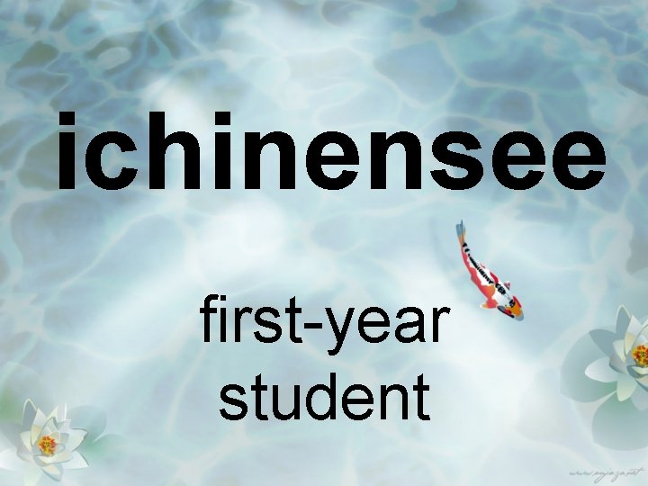 ichinensee first-year student 