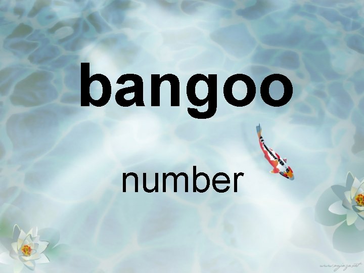 bangoo number 