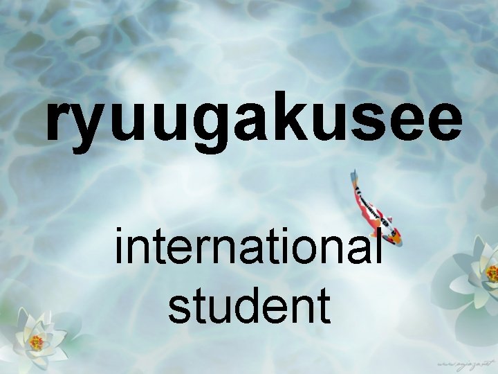 ryuugakusee international student 