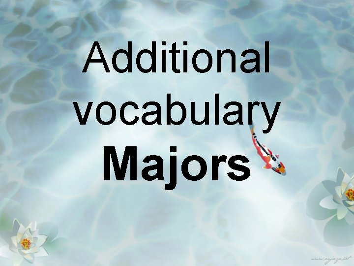 Additional vocabulary Majors 