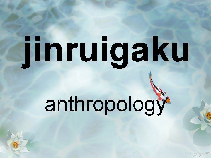 jinruigaku anthropology 