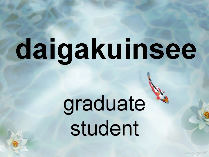 daigakuinsee graduate student 