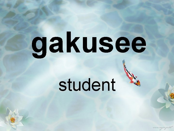 gakusee student 