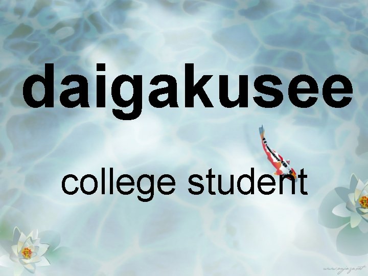 daigakusee college student 