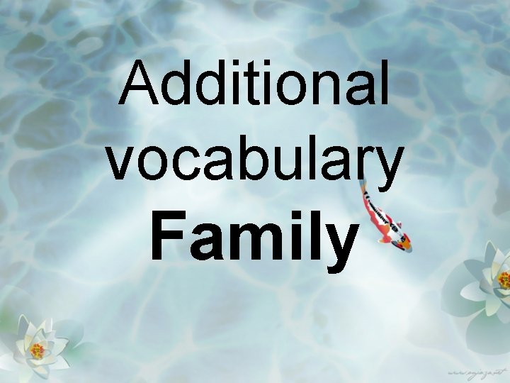 Additional vocabulary Family 