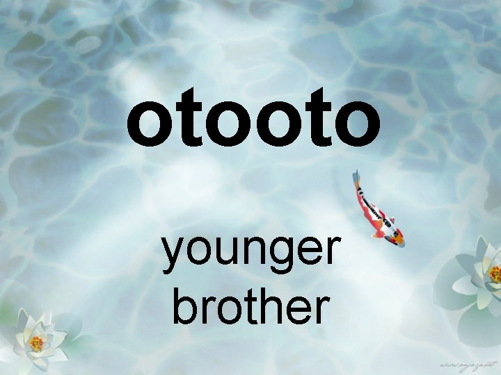 otooto younger brother 