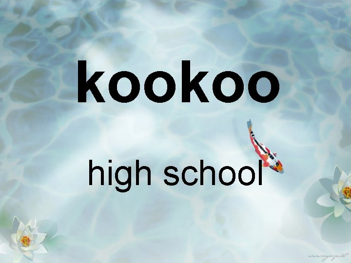 kookoo high school 