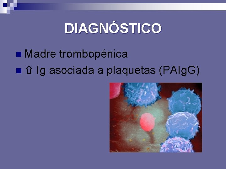 DIAGNÓSTICO n Madre trombopénica n Ig asociada a plaquetas (PAIg. G) 