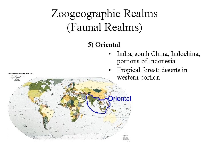 Zoogeographic Realms (Faunal Realms) 5) Oriental • India, south China, Indochina, portions of Indonesia