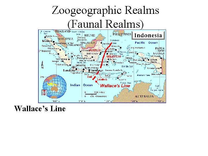 Zoogeographic Realms (Faunal Realms) Wallace’s Line 