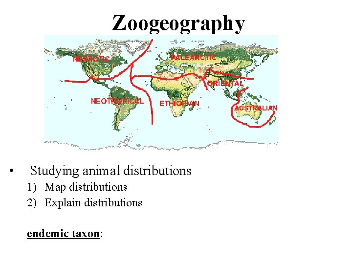 Zoogeography • Studying animal distributions 1) Map distributions 2) Explain distributions endemic taxon: 
