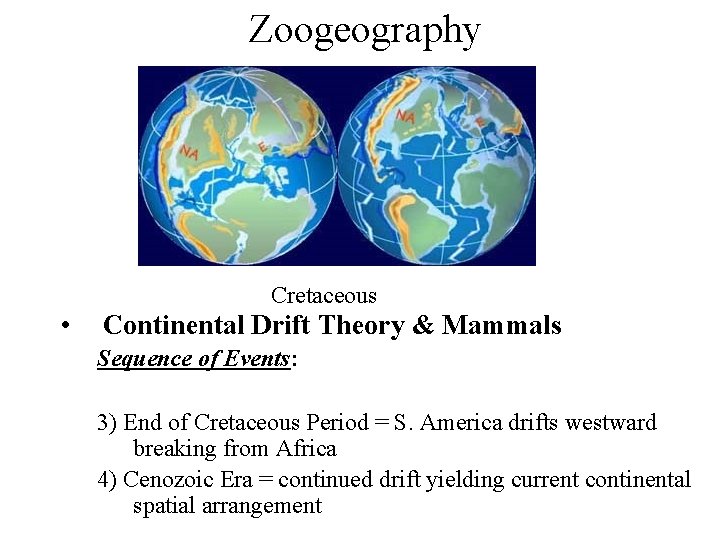 Zoogeography Cretaceous • Continental Drift Theory & Mammals Sequence of Events: 3) End of