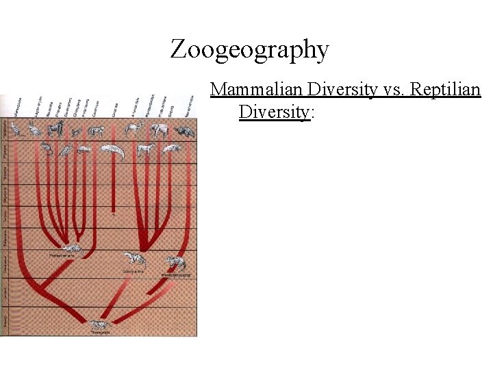 Zoogeography Mammalian Diversity vs. Reptilian Diversity: 