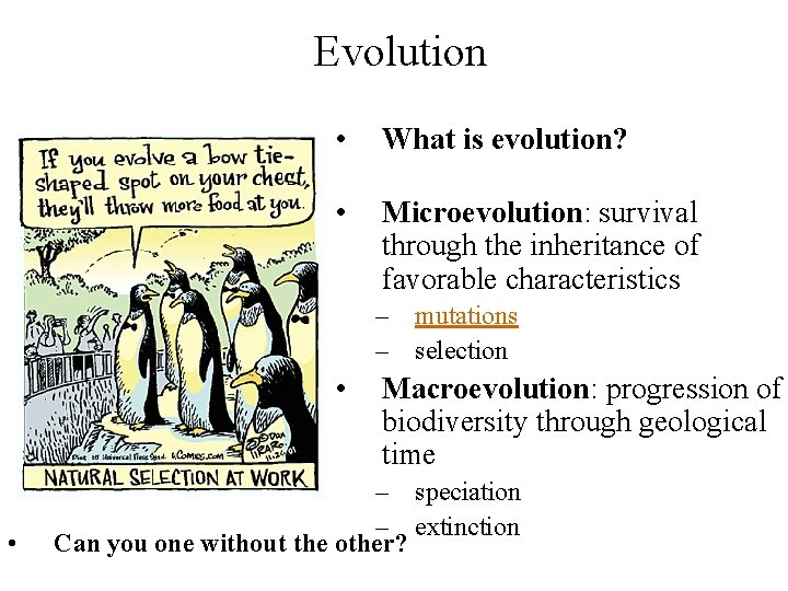 Evolution • What is evolution? • Microevolution: survival through the inheritance of favorable characteristics