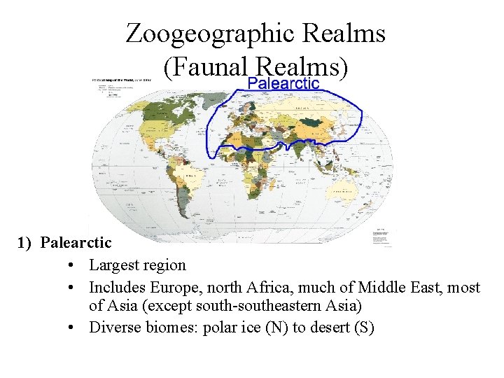 Zoogeographic Realms (Faunal Realms) 1) Palearctic • Largest region • Includes Europe, north Africa,