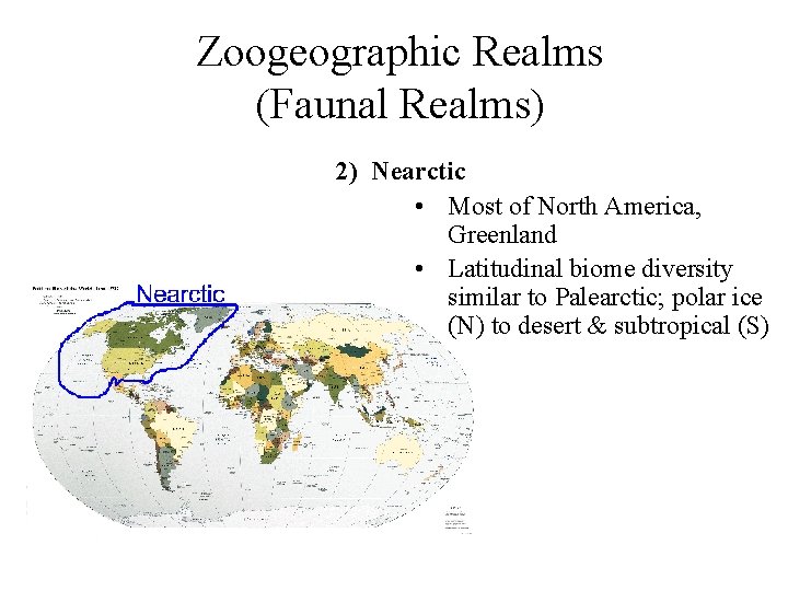 Zoogeographic Realms (Faunal Realms) 2) Nearctic • Most of North America, Greenland • Latitudinal