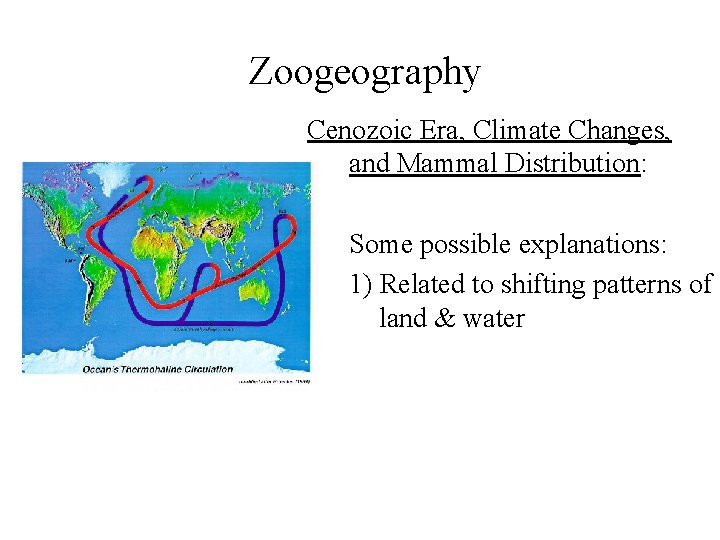 Zoogeography Cenozoic Era, Climate Changes, and Mammal Distribution: • Some possible explanations: 1) Related