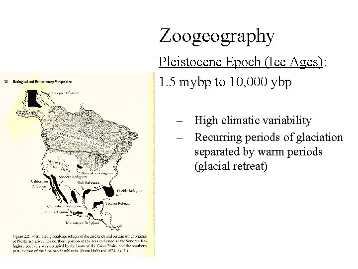 Zoogeography Pleistocene Epoch (Ice Ages): 1. 5 mybp to 10, 000 ybp – High