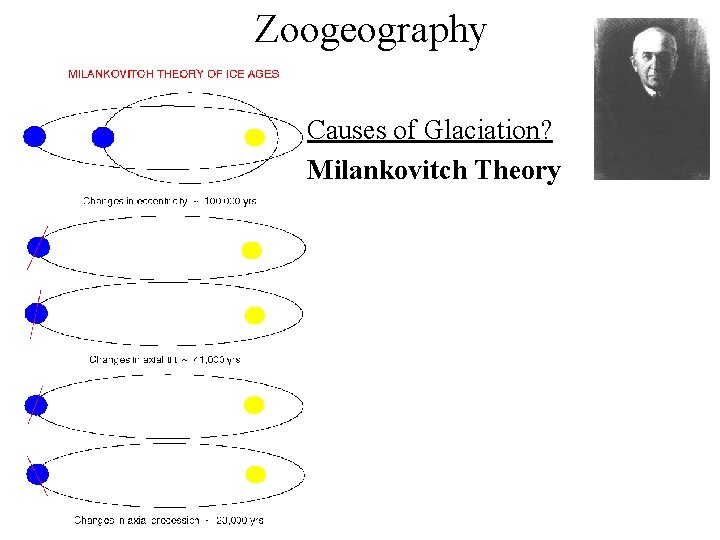 Zoogeography Causes of Glaciation? Milankovitch Theory 