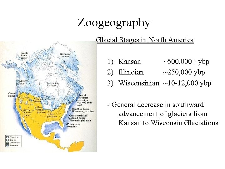 Zoogeography Glacial Stages in North America 1) Kansan ~500, 000+ ybp 2) Illinoian ~250,