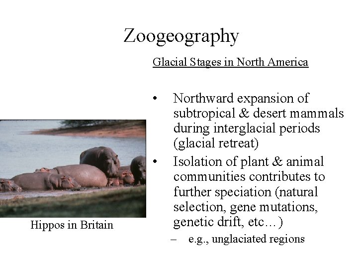 Zoogeography Glacial Stages in North America • • Hippos in Britain Northward expansion of