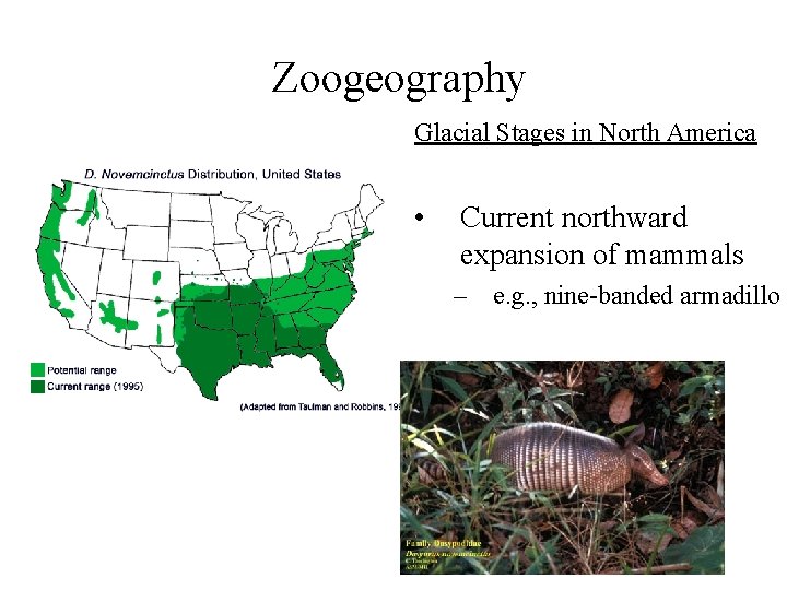 Zoogeography Glacial Stages in North America • Current northward expansion of mammals – e.