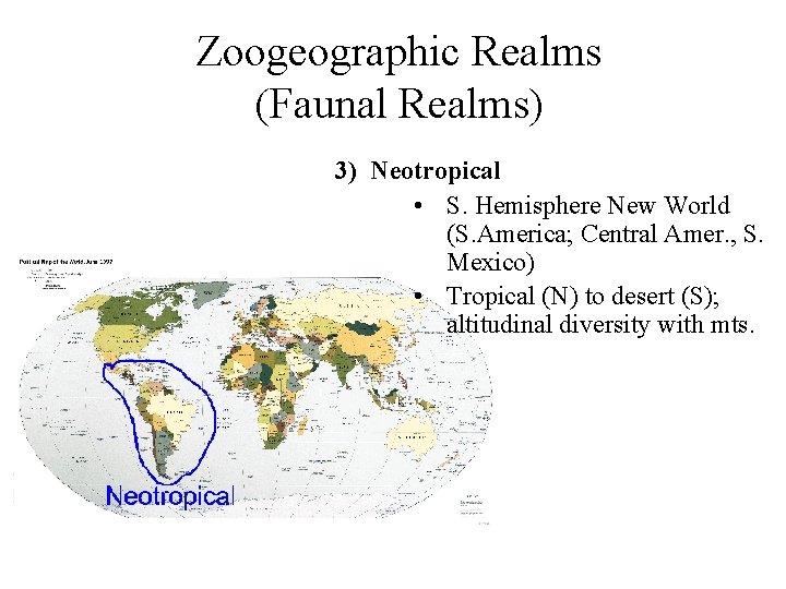 Zoogeographic Realms (Faunal Realms) 3) Neotropical • S. Hemisphere New World (S. America; Central