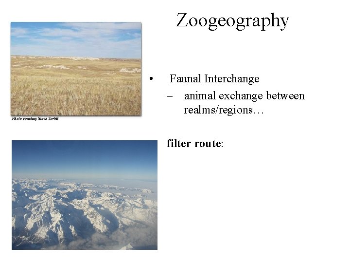 Zoogeography • Faunal Interchange – animal exchange between realms/regions… filter route: 