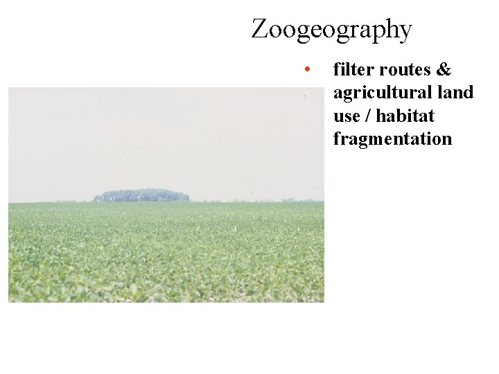 Zoogeography • filter routes & agricultural land use / habitat fragmentation 