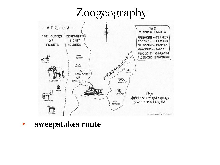 Zoogeography • sweepstakes route 