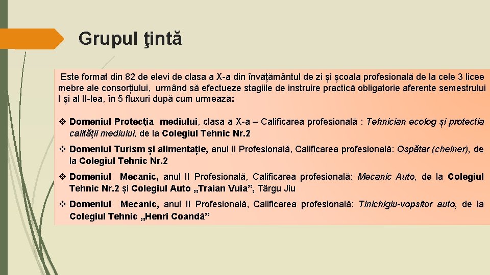 Grupul ţintă Este format din 82 de elevi de clasa a X-a din învățământul