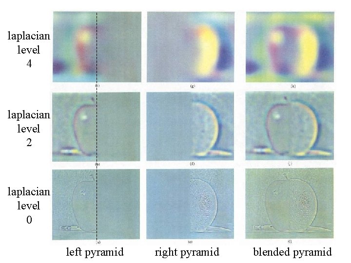 laplacian level 4 laplacian level 2 laplacian level 0 left pyramid right pyramid blended